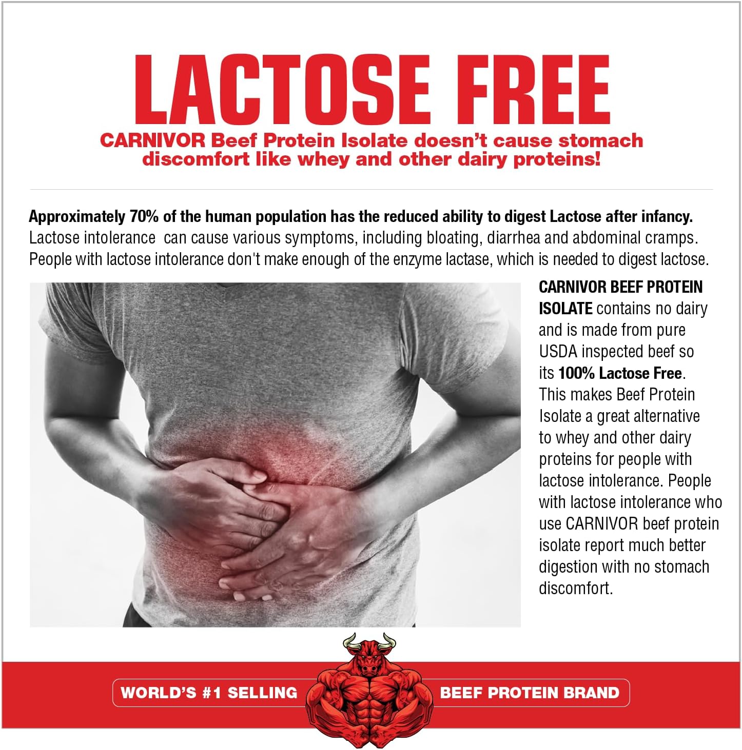 CARNIVOR Beef Protein Isolate Powder, Muscle Building, Recovery, Lactose Free, Sugar Free, Fat, Free, 23G Protein, Halal Certified, Chocolate, 28 Servings